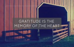 Gratitude Is the Memory of the Heart