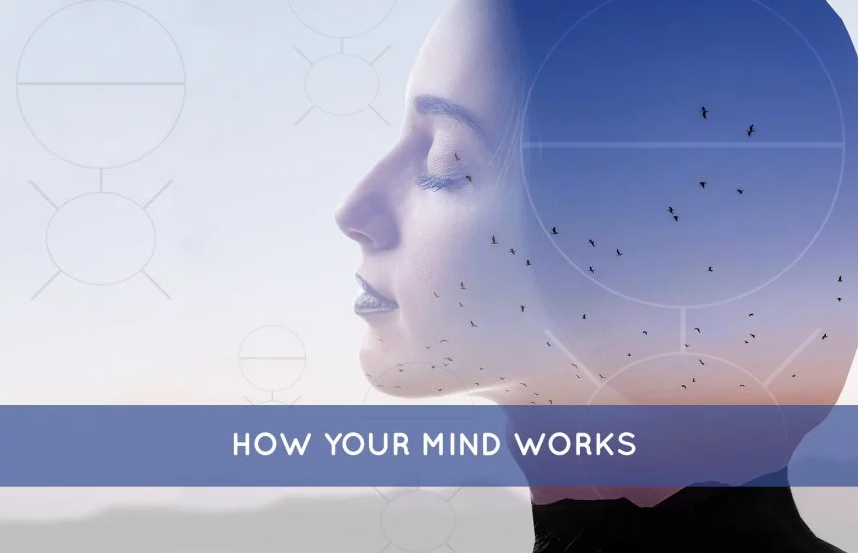 How Your Mind Works